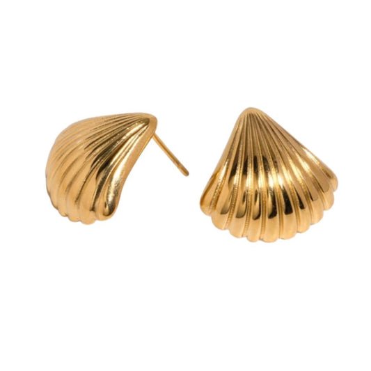 Small shell earrings